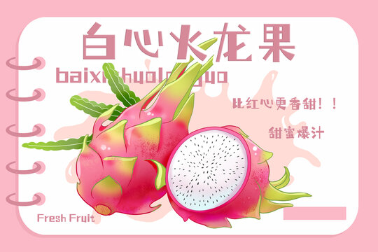 火龍果包裝