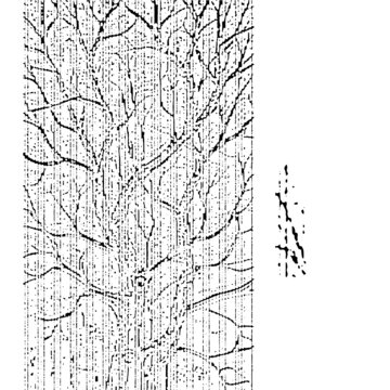 樹(shù)枝雜點(diǎn)肌理紋