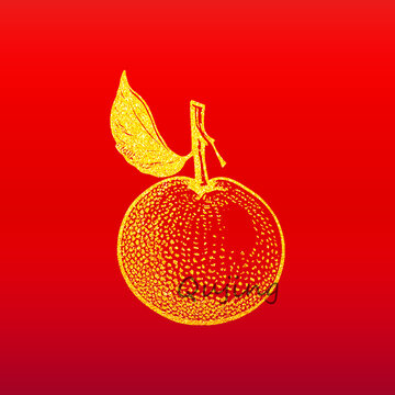 桔子免扣素材插圖