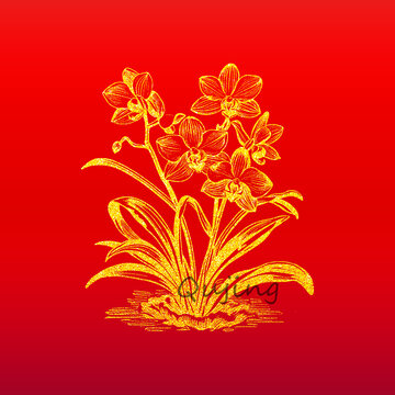 蘭花