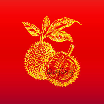 榴蓮包裝插畫