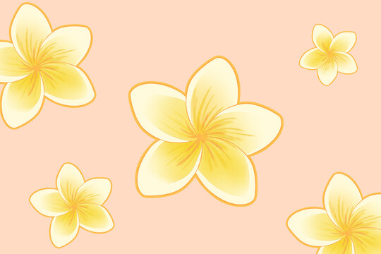 卡通黃色小花花