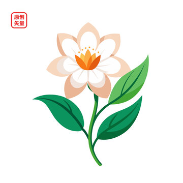 矢量插圖植物一枝小白花