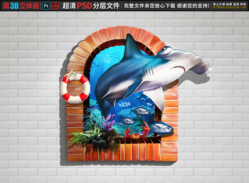 鯊魚立體畫