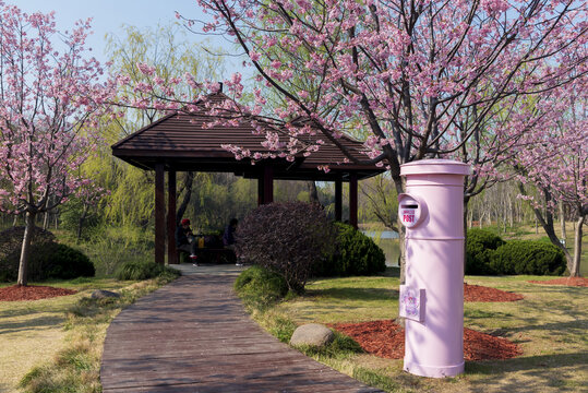 公園風光