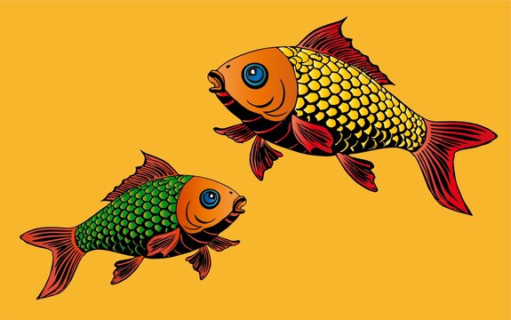 鯉魚