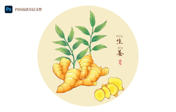 生姜手繪國(guó)風(fēng)插畫(huà)