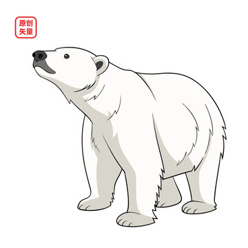 矢量插圖動(dòng)物北極熊