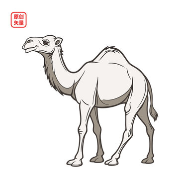 矢量插圖動(dòng)物駱駝
