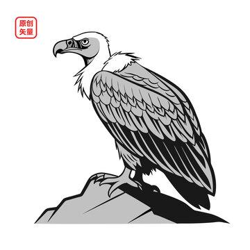 矢量插圖動物石頭上禿鷲