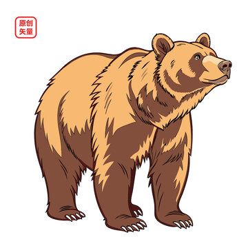 矢量插圖動物棕熊