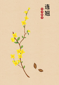 連翹