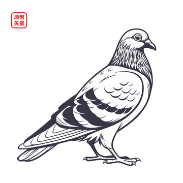 矢量插圖動(dòng)物簡(jiǎn)約鴿子