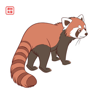 矢量插圖動物小浣熊