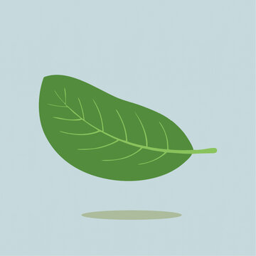 綠色單葉片的卡通Q版兒童插畫
