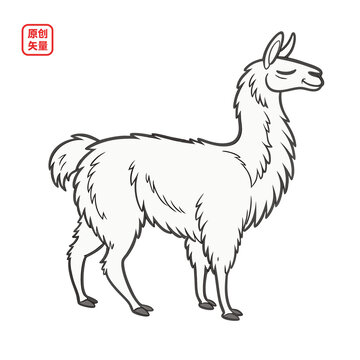 矢量插圖動物簡約線條羊駝