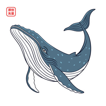 矢量插圖動物海洋生物藍(lán)鯨