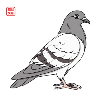 矢量插圖動(dòng)物簡(jiǎn)約鴿子