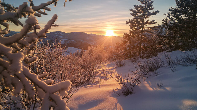 冬季雪景日出陽光