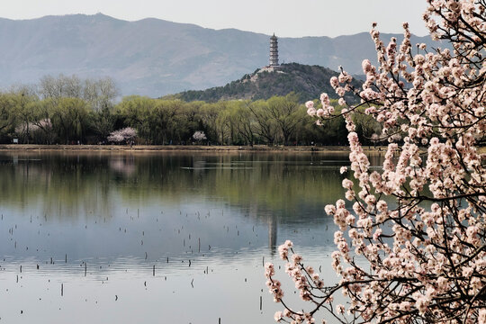 北京頤和園玉泉山玉峰塔春色