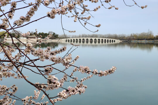 北京頤和園的春天