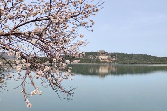 北京頤和園春色