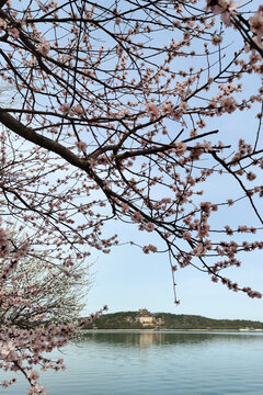 北京頤和園春色