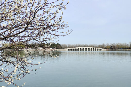 北京頤和園春色