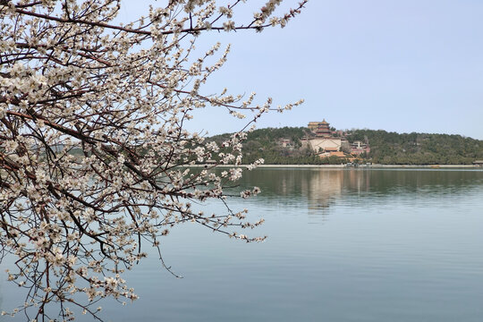 北京頤和園春色