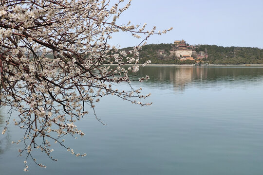 北京頤和園春色