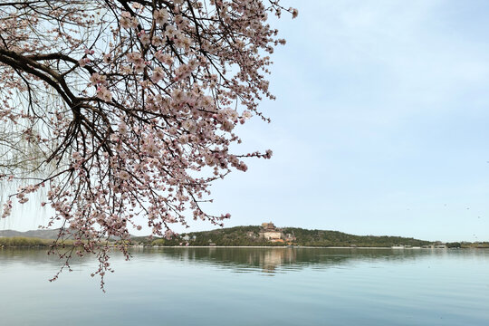 北京頤和園春色