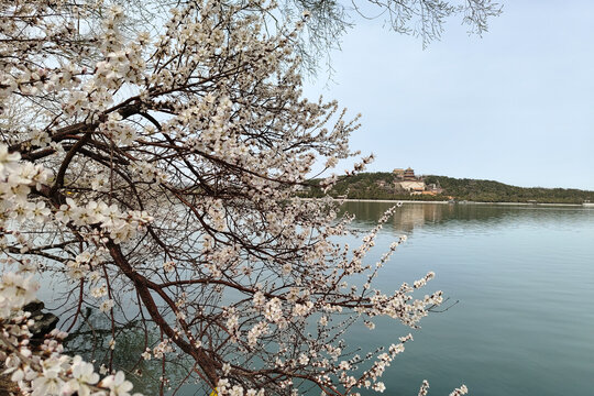 北京頤和園春色
