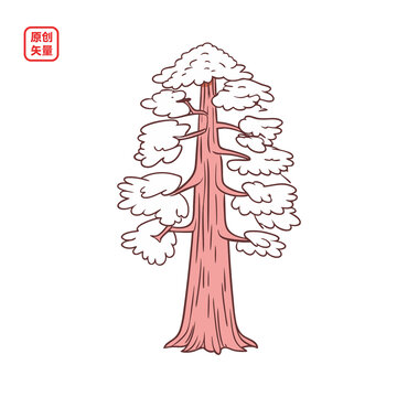 矢量插圖植物樹木高大紅杉樹