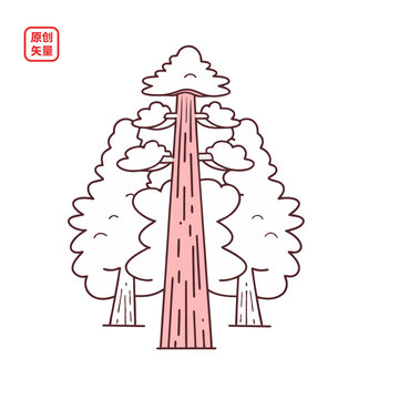 矢量插圖植物樹木高大紅杉樹