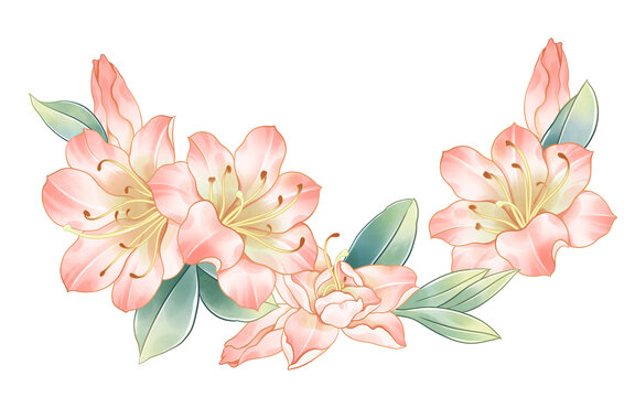 水彩杜鵑花粉色花卉插畫