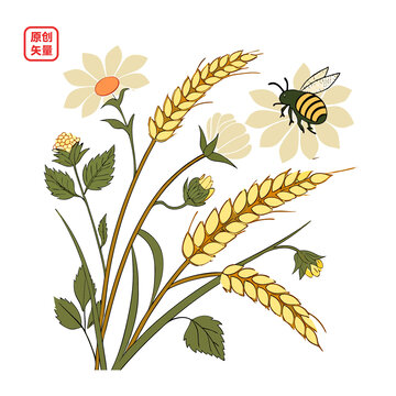 矢量插圖植物小麥糧食啤酒花