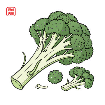 矢量插圖蔬菜綠色菜花