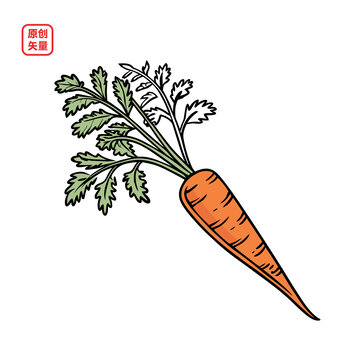 矢量插圖蔬菜綠色胡蘿卜