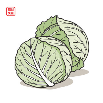 矢量插圖蔬菜綠色圓白菜
