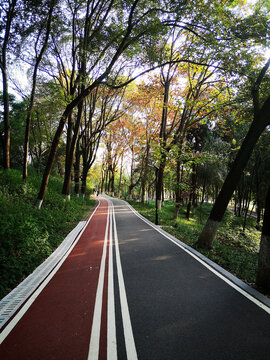 健身步道