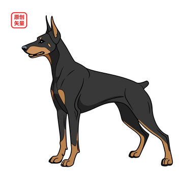 矢量插圖動物簡約狗杜賓犬