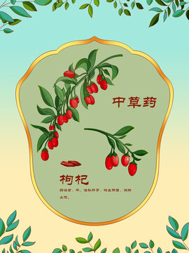 中草藥插圖主題枸杞