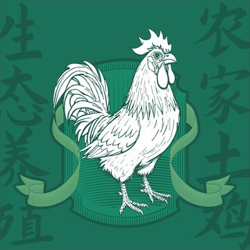農(nóng)家土雞插畫(huà)