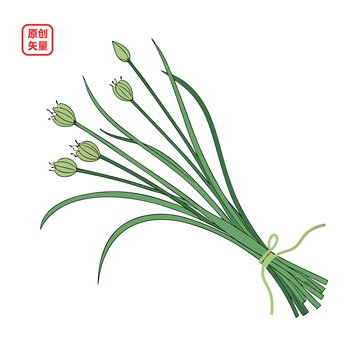 矢量插圖蔬菜綠色小蔥