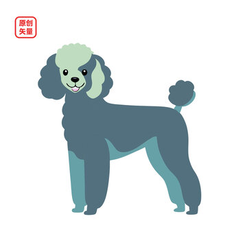 矢量插圖動物簡約可愛萌寵貴婦犬
