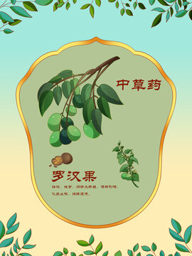 中草藥插圖主題羅漢果