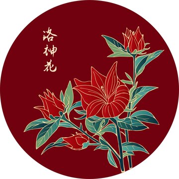 洛神花
