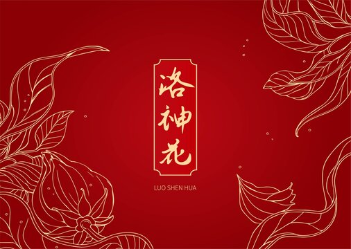 洛神花茶