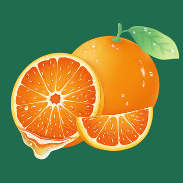 手繪橙子插畫