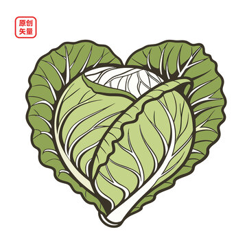 矢量插圖蔬菜卷心菜